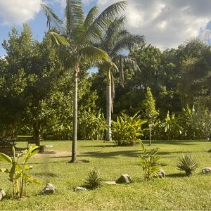 Meet your Posher, Maritza